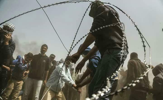 شهيد و968 إصابة بمسيرة العودة الكبرى في غزة